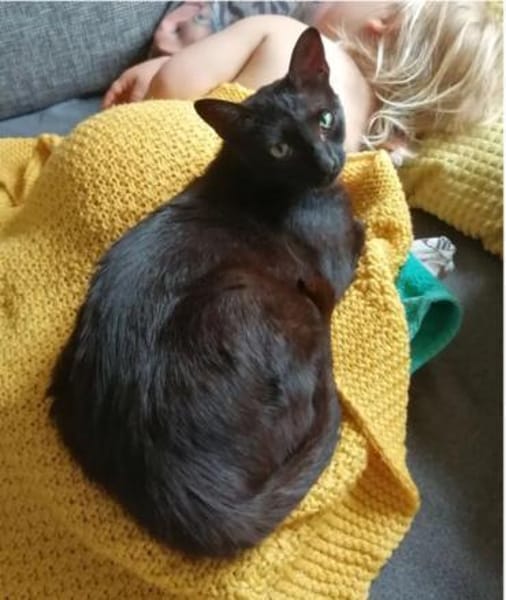 Piña- super lieb, verspielt & verschmust