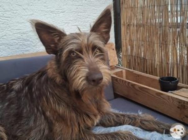 Brown sucht sportliche ruhige Menschen