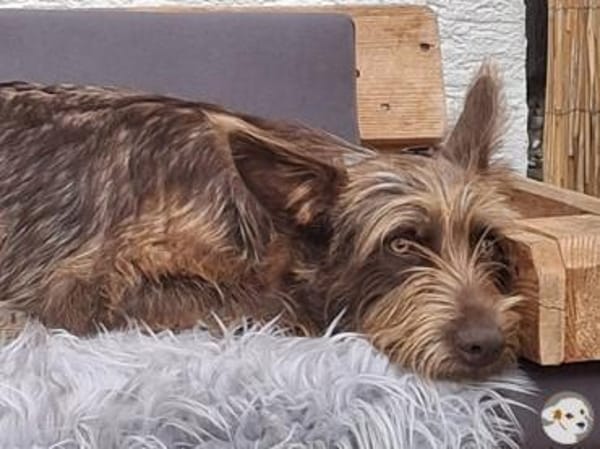 Brown sucht sportliche ruhige Menschen