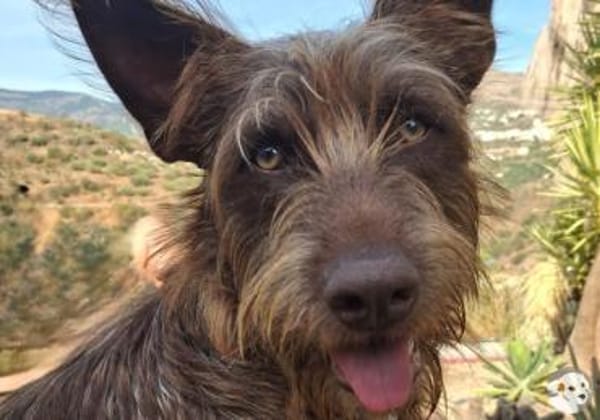 Brown sucht sportliche ruhige Menschen