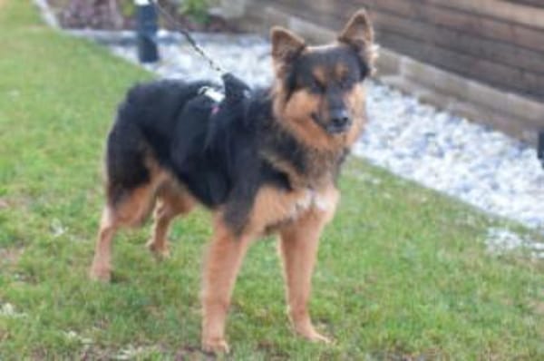 PUSCHKINA - lieb&aufgeschlossen