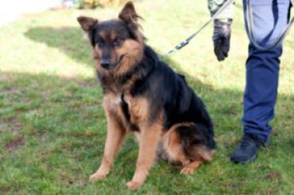 PUSCHKINA - lieb&aufgeschlossen