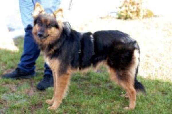 PUSCHKINA - lieb&aufgeschlossen