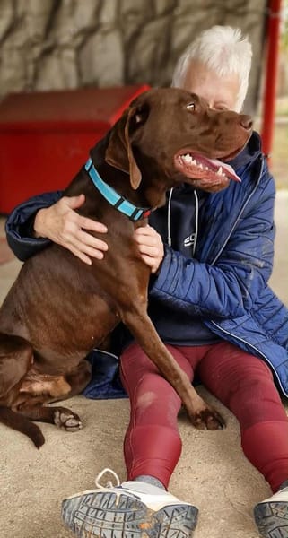 Sanfter Wotan in 45138 Essen