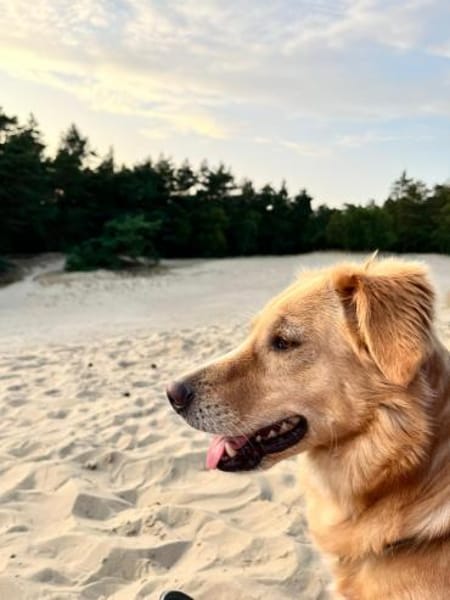 Wo sind die Menschen für Jule? 😍