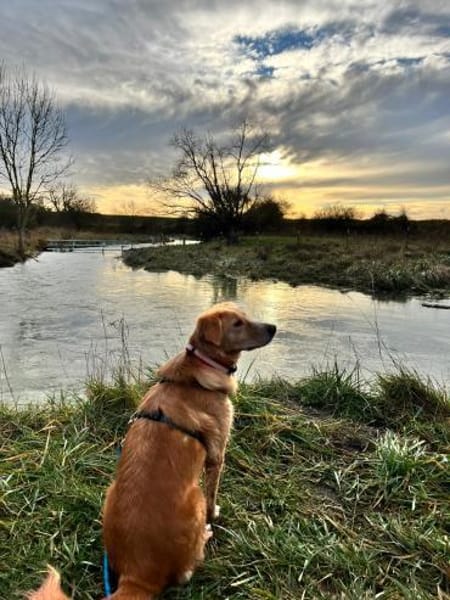 Wo sind die Menschen für Jule? 😍