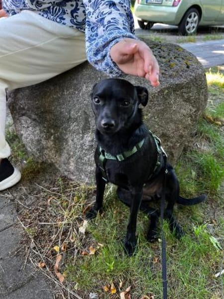 Tommy, Neuanfang gesucht