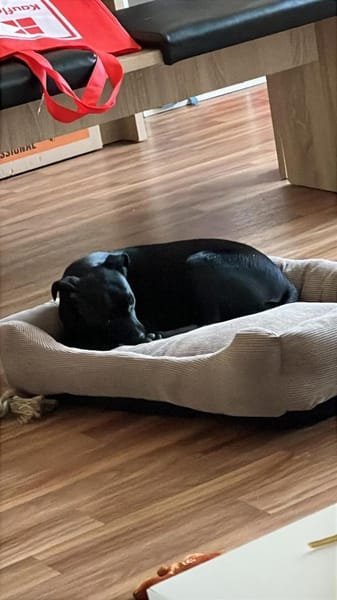 Tommy, Neuanfang gesucht