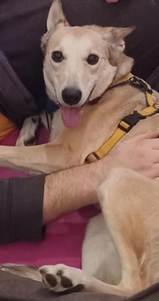 Lilly 💛 sucht Herzensmenschen