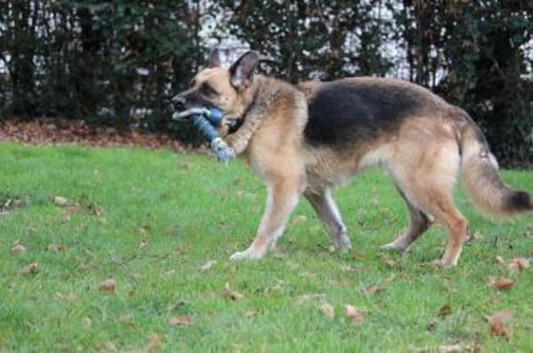 Vicenta - immer an deiner Seite