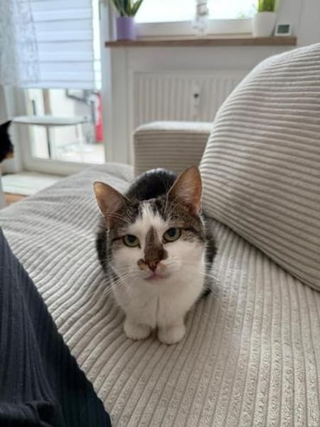 Oliwia- sucht Sicherheit