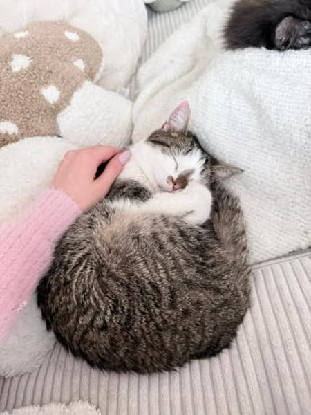 Oliwia- sucht Sicherheit