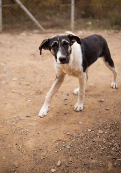 💕Sanya wartet auf ihre eigene Familie💕