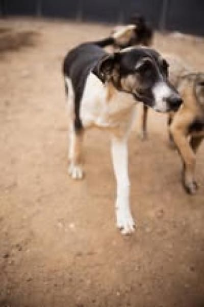 💕Sanya wartet auf ihre eigene Familie💕