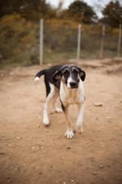 💕Sanya wartet auf ihre eigene Familie💕