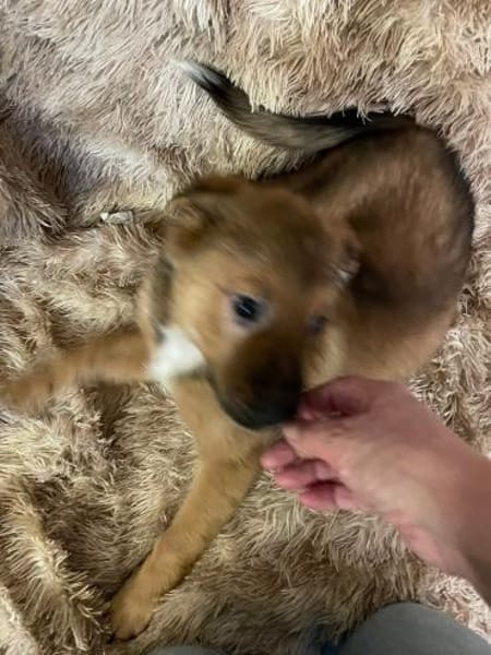 Süßer Tommi❤sucht Kuschelflat