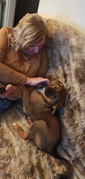 Süßer Tommi❤sucht Kuschelflat