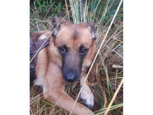 Milena - wartet in 48165 Münster