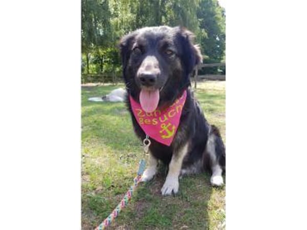 Ella wartet in 22949 Ammersbek