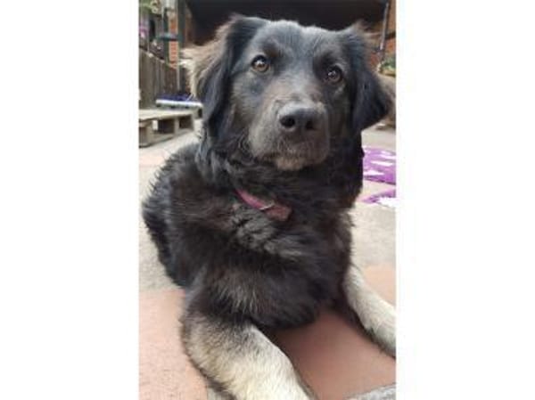 Ella wartet in 22949 Ammersbek