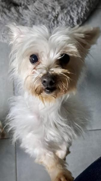 Bolte  in 47506 Hochkirchen-Vlyn