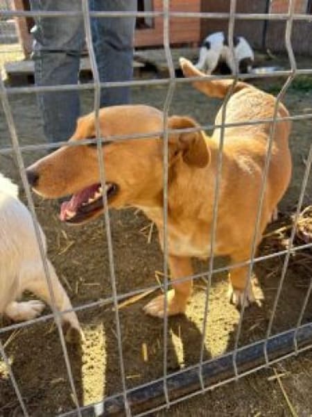 Wanda 28 cm (Pflegestelle)