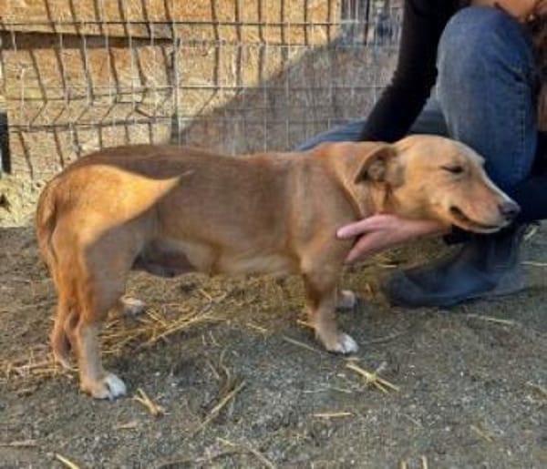 Wanda 28 cm (Pflegestelle)