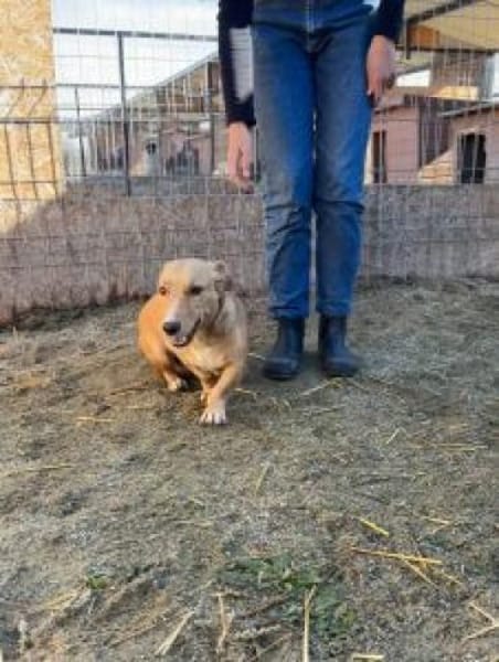 Wanda 28 cm (Pflegestelle)