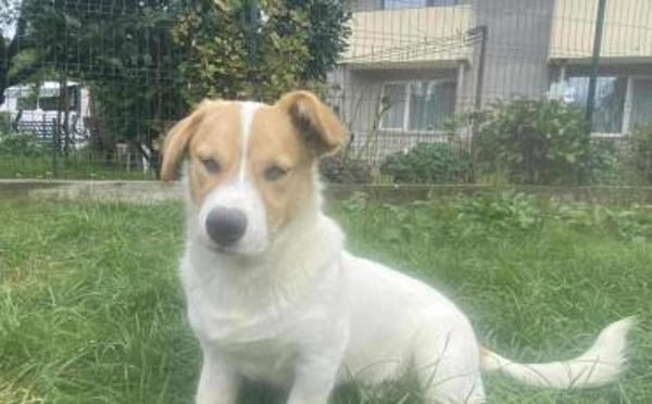 Hier kommt dein Herzblatt!