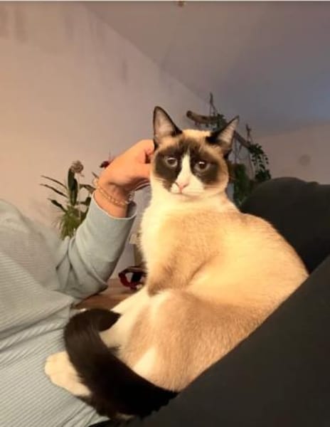 Lilú (mit Piaget)- super süß&bezaubernd