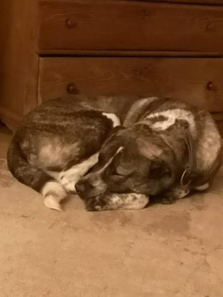 Yonah - alias Heimdall - jeder cm Liebe