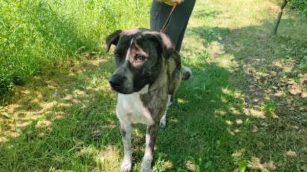 Yonah - alias Heimdall - jeder cm Liebe