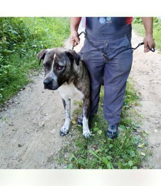 Yonah - alias Heimdall - jeder cm Liebe