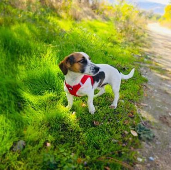 Kiro einfach nur lieb