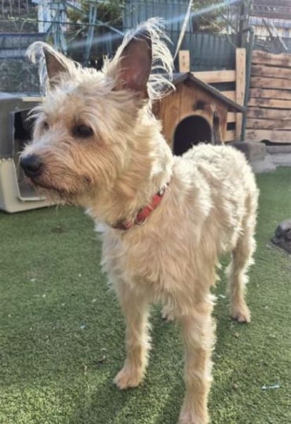 ROCKY 💝 sozial mit ALLEM!