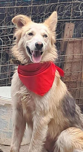 Ronja suche Menschen mit Herz