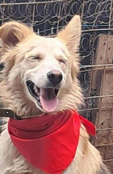 Ronja suche Menschen mit Herz