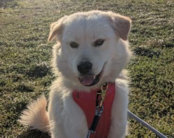 Cindy 💗 wartet in 12529 Schönefeld