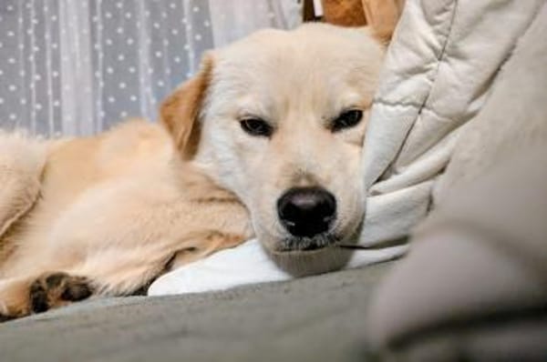 Cindy 💗 wartet in 12529 Schönefeld