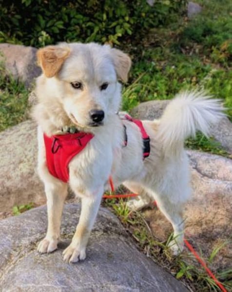 Cindy 💗 wartet in 12529 Schönefeld