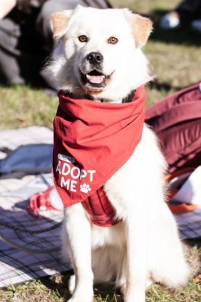 Cindy 💗 wartet in 12529 Schönefeld