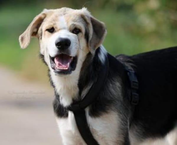 PLUMA ☀ unser purer Sonnenschein