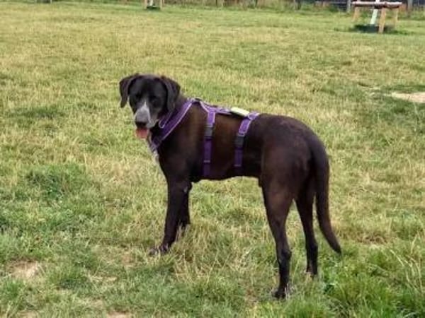 HOUSTON - er hat KEIN Problem!