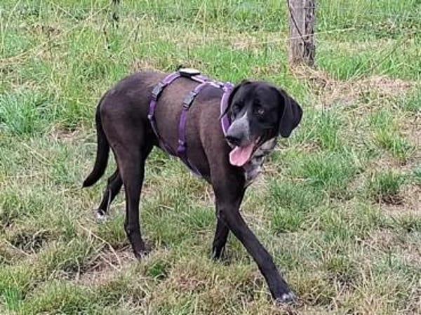 HOUSTON - er hat KEIN Problem!