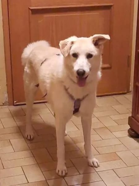 TOBIA jun. - auf PS in Rheinland-Pfalz