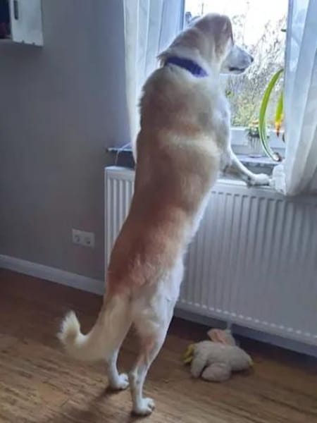 TOBIA jun. - auf PS in Rheinland-Pfalz