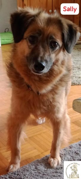 Sally - die scheue Schönheit