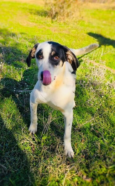 Momo unbeschreiblich lieb