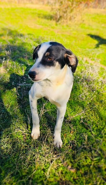 Momo unbeschreiblich lieb