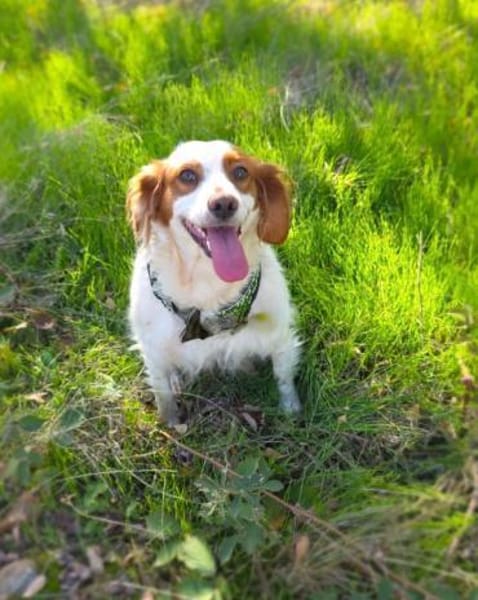 Emma ein perfektes Mädchen